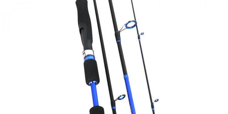 2.1/2.4/2.7m Carbon Blue 4 Section 6.6lb Piscifun Saltwater Fishing Rod Fishing Pole Ultra Spinning Rod...