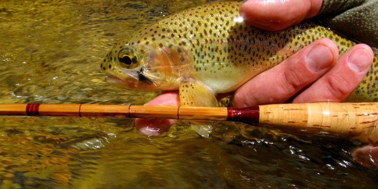 Bamboo fly rod, Fly rods and