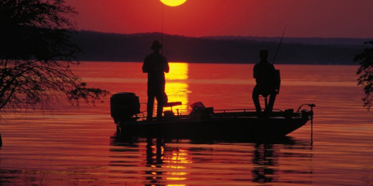 The Best Baitcasting Reels Of
