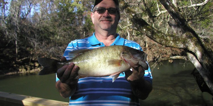 Record Shoal Bass 12-7-14