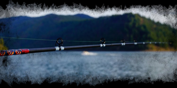 Unique Fishing Rods for
