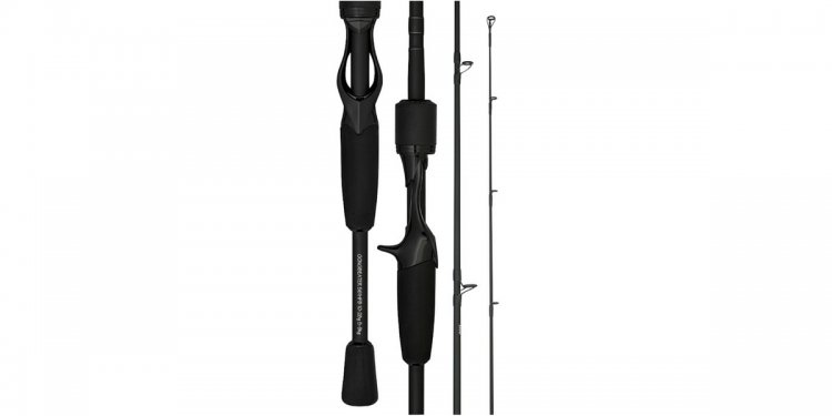 Best Travel Rods for Fishing