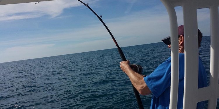 Popular Fishing Rods