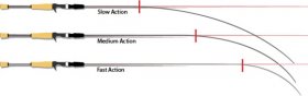 action