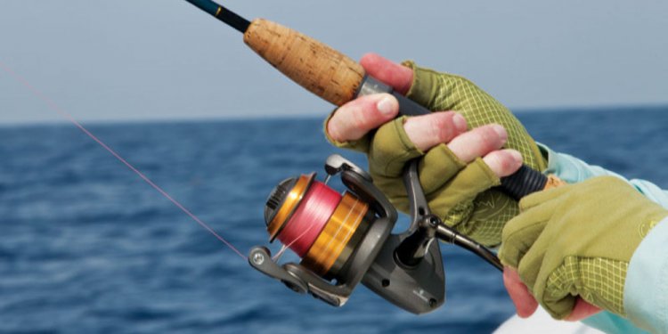 Best Ultralight Fishing rod