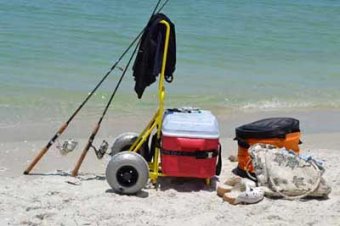Beach Gear