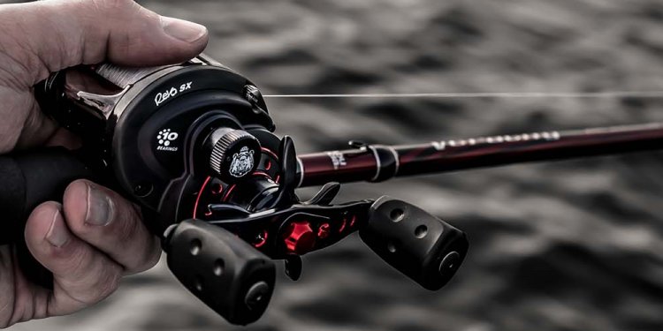Best Fishing rod guides