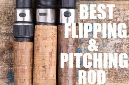 BEST FLIPPING ROD