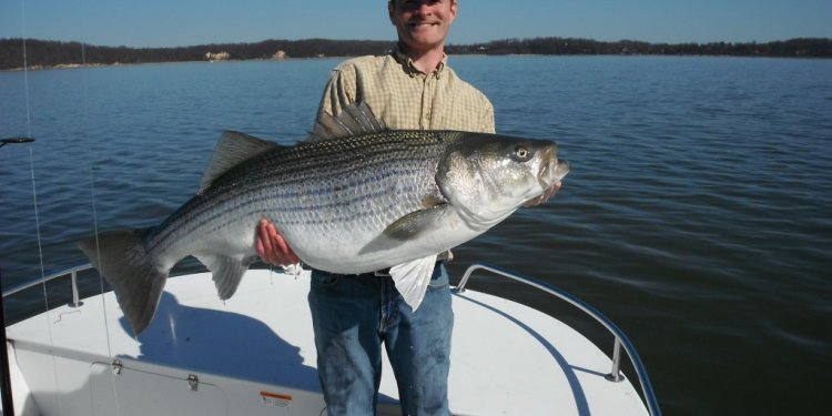 Best rod for stripers Fishing