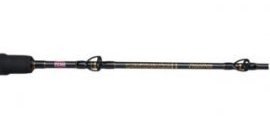 most readily useful Saltwater Fishing Rods