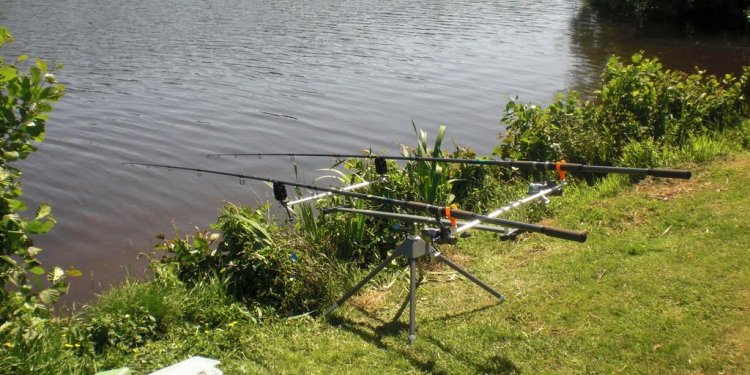 Carp Fishing rod Pods