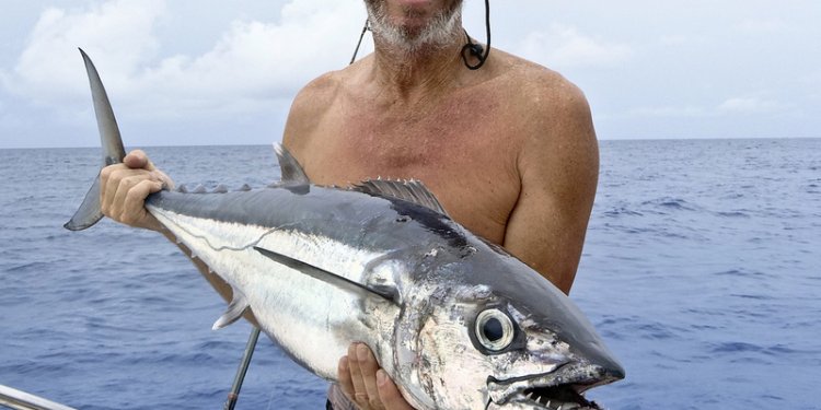What size Fishing rod?