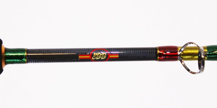 Most Popular Fishing Rods