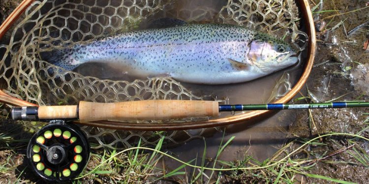 Difference in Fishing Rods
