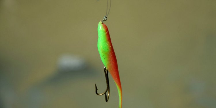 Good Beginner Fishing rod