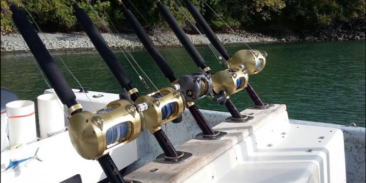 Shimano Fishing Rods and reels