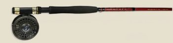 Fishing Rods & Reels