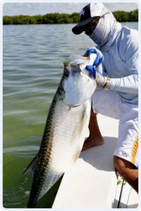 Fly Fishing Gear