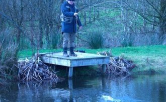 Fly Rod action