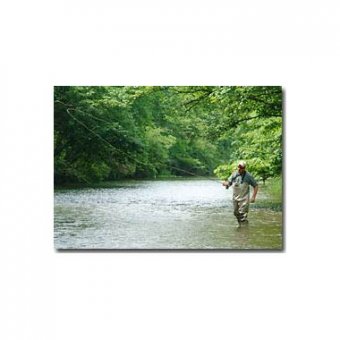 Fly-Rod Buyers Guide at Cabela's