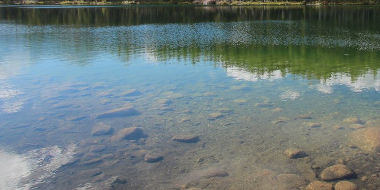 Delta Fishing Rods