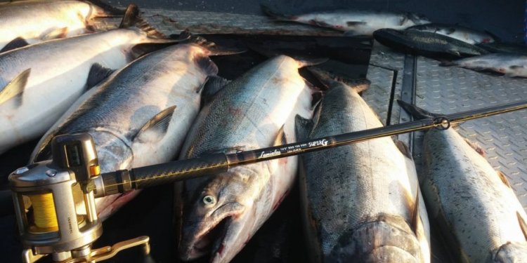 Different Fishing Rods