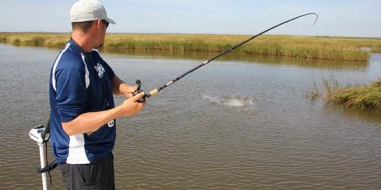 Fishing rod action