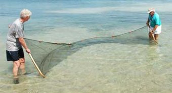 If you remain at a hotel or condo regarding the beachfront, you will have comfortable access to your coastline. The accommodations provide all kinds of activities and you can lease fishing gear, kayak