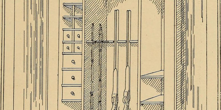 Best Fishing Rods for Beginners