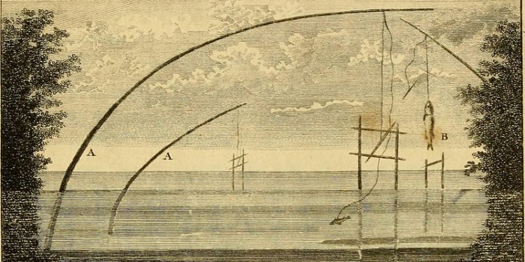 Strongest Fishing rod