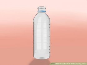 Image titled 139868 32