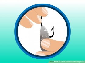 Image titled Catch Fish without needing a Rod Step 2