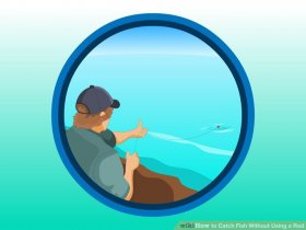 Image titled Catch Fish without the need for a Rod action 3