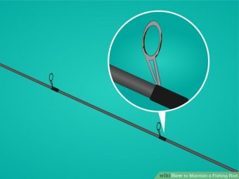 Image titled Maintain a Fishing Rod action 1Bullet2