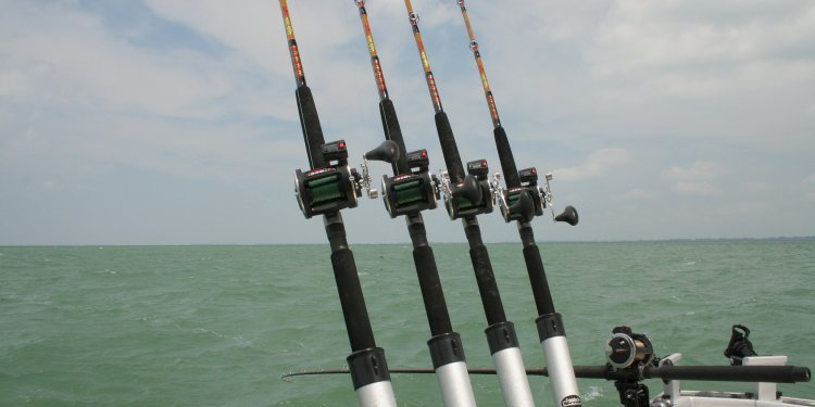 Musky Fishing Rods