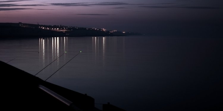 Fishing rod tip Lights