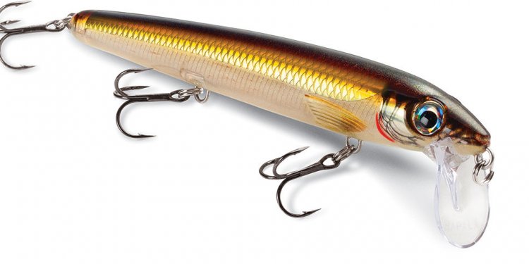 Best lightweight Fishing rod