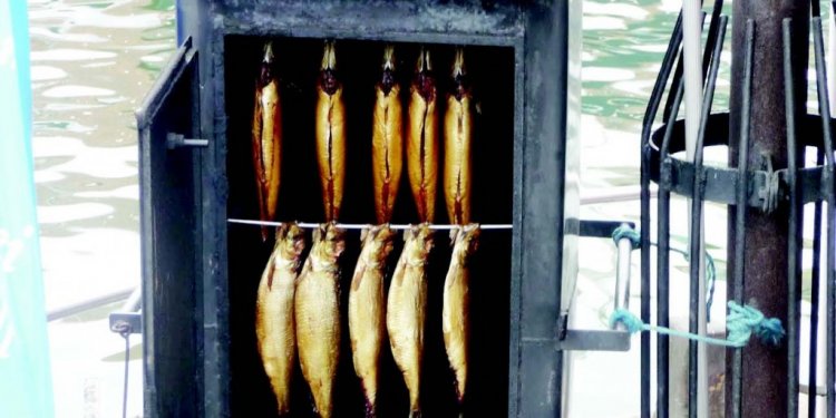 Commercial fish Smoking Equipment