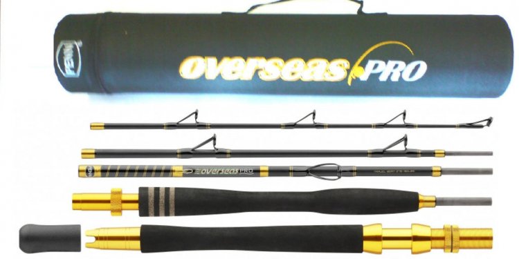 Fishing rod carrying Cases
