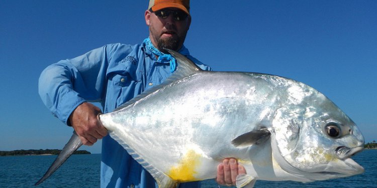 Key Largo Fishing Rods