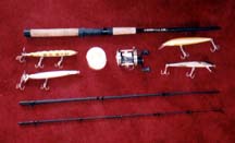 peacock bass tackle