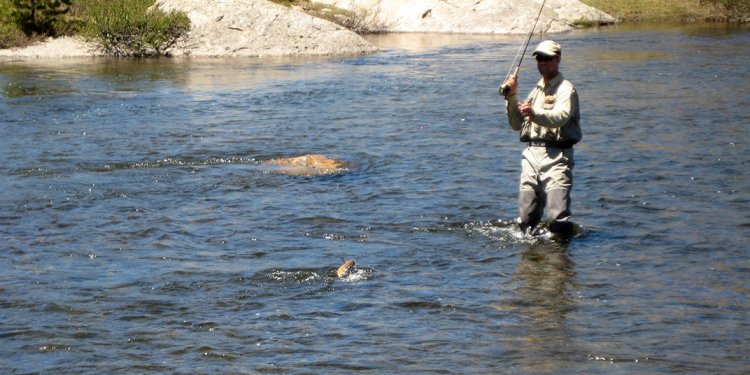 Fly Fishing Rods Reviews