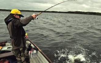 Pike pole