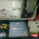 Bass Fishing Equipment