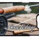 Bass fishing fly rod