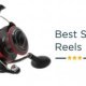Best Bass fishing rod under $100