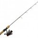 Best Beginners Fishing rod