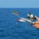 Best Compact Fishing rod