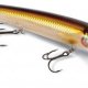 Best lightweight Fishing rod