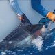 Best offshore Fishing Rods